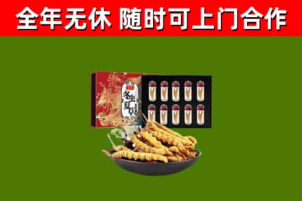 浠水回收冬虫夏草价格